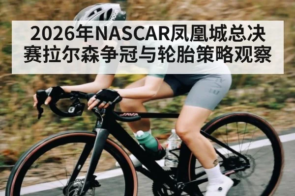 2026年NASCAR凤凰城总决赛拉尔森争冠与轮胎策略观察